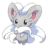 Cinccino