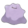Ditto