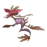 Dragalge