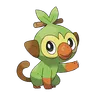 Grookey