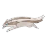 Linoone
