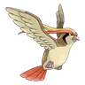 Pidgeot
