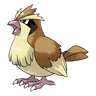 Pidgey