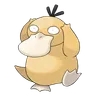 Psyduck