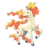 Rapidash