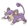 Rattata
