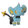 Shinx