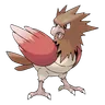 Spearow
