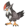 Staraptor