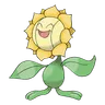 Sunflora