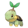 Turtwig